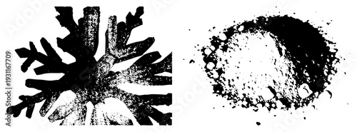 Symmetrical snowflake design with halftone texture, ink blot abstract shape, vector graphic, isolated elements, black and white contrast, artistic print.