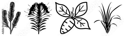 Stylized black botanicals including feathered plant, spiky flower, carrot with leaves, and grass clump, isolated vector art for design.