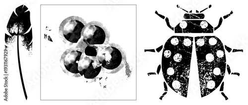 Stylized black and white halftone prints of feather, acorn cluster, and ladybug with distressed texture, isolated vector graphics, nature motifs, stencil art.