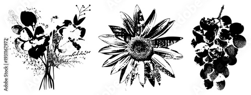 Stylized bouquet with leaves, sunflower with textured center, and grape cluster with halftone shading, rendered in vector art.