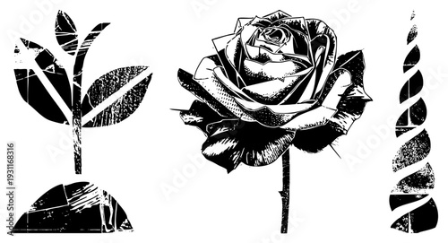 Black and white vector illustrations of a rose, sprouting plant, and spiral horn with distressed texture, graphic design elements, tattoo inspired art style.
