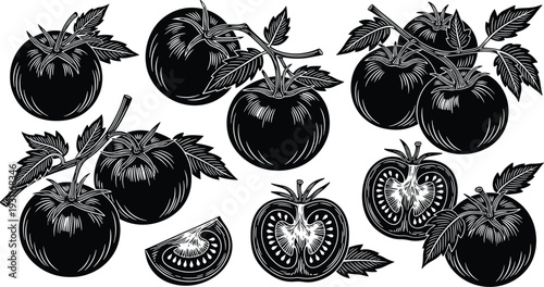 Tomato fruit vector illustration, black and white botanical drawing, sliced tomato artwork, vintage food design, organic farming produce, culinary concept art