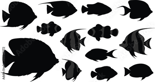 Tropical fish silhouette collection, coral reef underwater animal icons, exotic marine life vector illustration isolated on white background, sea creatures set