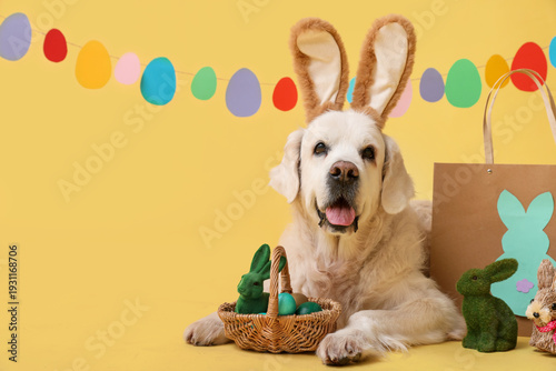 Cute Golden Retriever dog i...