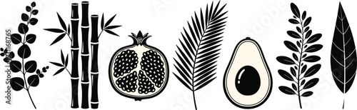 Vector illustration set of botanical elements, avocado, pomegranate, bamboo, and tropical leaves, black isolated icons on white background for design