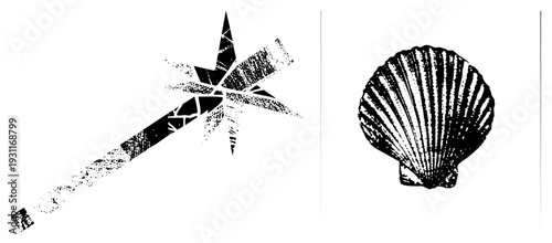 Black and white vector art of starfish and scallop, halftone texture, isolated graphic elements, marine life symbols, stylized nature.