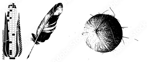 Vector illustration of corn cob, feather, and coconut with halftone textures, isolated symbols, design, graphic art elements.