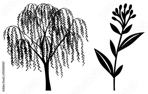 Black silhouette of weeping willow tree with cascading branches, paired with stylized flowering stem, vector graphic, botanical illustration, isolated plant elements.
