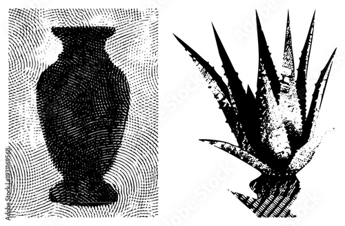 Classic vase with curved silhouette and textured halftone shading, paired with sharp leaf succulent plant, both rendered in bold black and white vector style, ideal for graphic design or print.