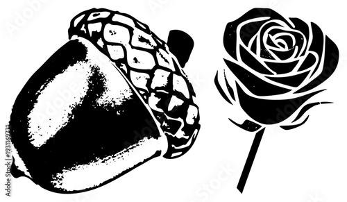 Stylized acorn with textured cap and rose bloom, graphic design elements, nature motifs, art, botanical symbols.