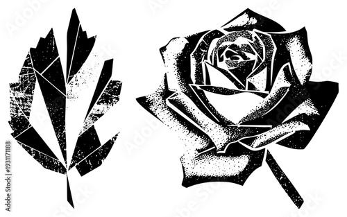 Artistic halftone rose and fractured leaf graphic, vector art, botanical illustration, isolated elements, stylized nature design.
