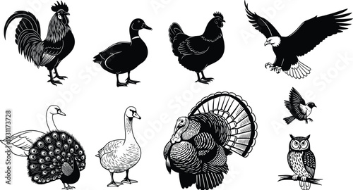 Black and White Bird Silhouette Vector Set Featuring Rooster, Duck, Eagle, Owl, Turkey, and Peacock for Nature Logos, Farm Branding, and Wildlife Design