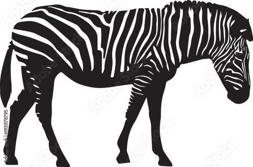Zebra silhouette showing striped body and slender legs standing gracefully.