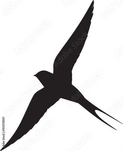 Swift silhouette showing streamlined body and pointed wings in flight.