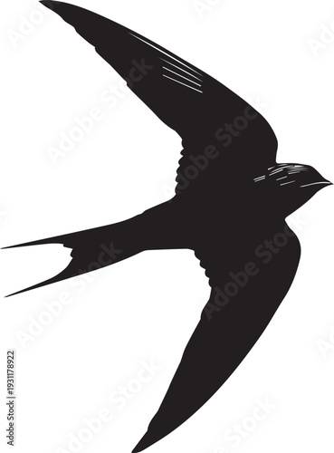 Small swiftlet silhouette showing streamlined body and pointed wings.