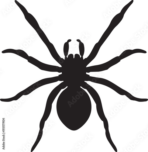 Large tarantula silhouette showing hairy legs and rounded body posture.
