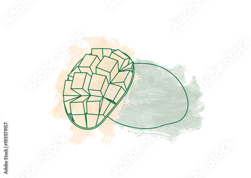 mango outline drawing watercolor background design