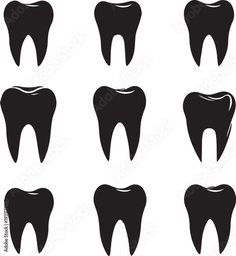 Human teeth silhouette showing upper and lower jaw alignment clearly.
