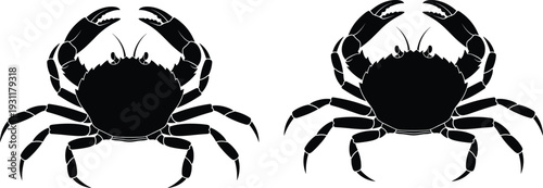 Black crab silhouette illustration, marine life artwork, symmetrical crab design, sea animal vector, ocean wildlife graphic, decorative coastal pattern