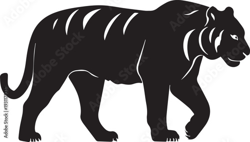 Fierce tiger silhouette showing muscular body and striking striped profile.