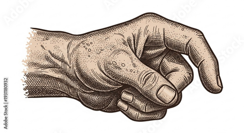 Detailed illustration of a human hand with thumb down showing wrinkles and skin texture on a white background