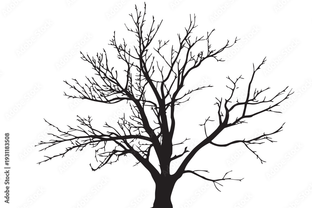 Fototapeta premium Black silhouette of a dry winter tree without leaves.Dead tree branch silhouette isolated on white background.Bare tree branches vector illustration.