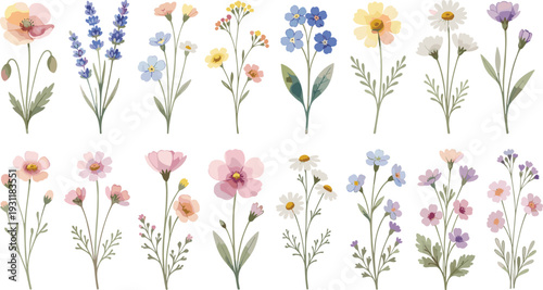 Collection of delicate pastel wildflowers and botanical stems in soft watercolor style, ideal for spring designs, wedding invitations, greeting cards, textile prints and decorative floral compositions