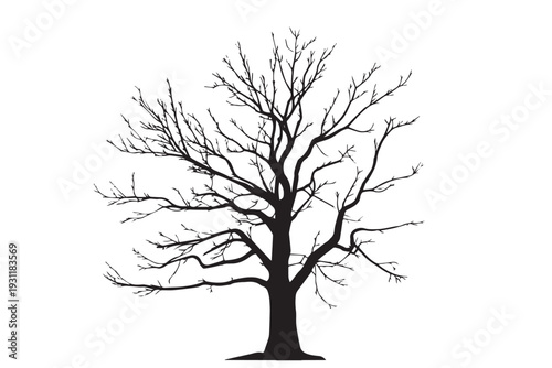 Black silhouette of a dry winter tree without leaves.Dead tree branch silhouette isolated on white background.Bare tree branches vector illustration.