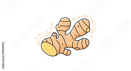 Fresh ginger root illustration with light brown skin and golden interior surrounded by decorative lines and organic swirl shapes.