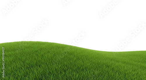 Lush green grass hill with rolling terrain