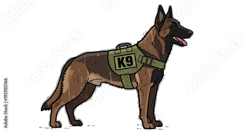 K9 German Shepherd Dog with Vest
