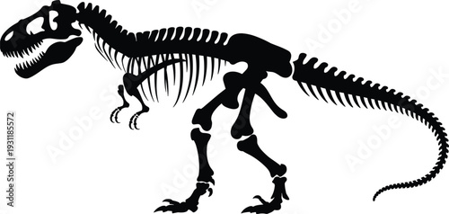 Black silhouette of a Tyrannosaurus Rex dinosaur skeleton on a white background Keywords: dinosaur, T- Rex, Tyrannosaurus Rex