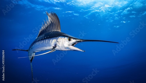 Billfish A Marlin Or Sailfish Leaping