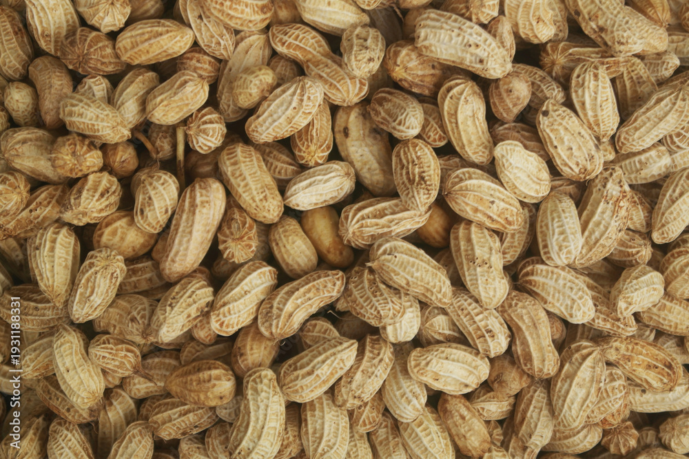 Fototapeta premium Many raw peanuts as background