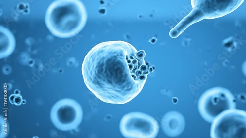 Microscopic view of dividing cells biology.