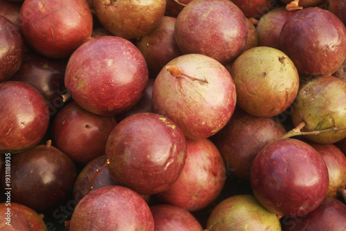 Star apple fruit or cainito as background