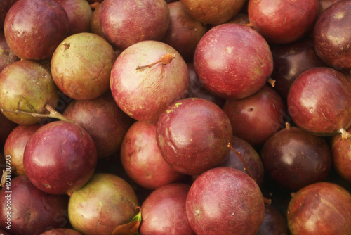 Star apple fruit or cainito as background