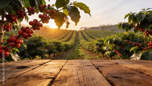 Sunrise Coffee Plantation Landscape with Wood Table