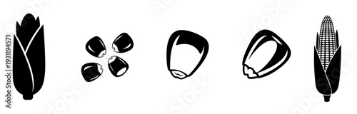 Vector set of corn illustration