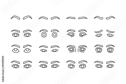 Eyebrow and eye anatomy vector illustration for beauty, makeup and facial feature concept