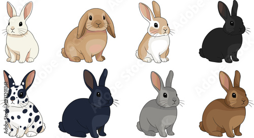 Cute Rabbit Illustration Set with Various Breeds and Colors for Animal and Pet Themes