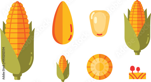 Fresh Yellow Corn on the Cob Vector Illustration Set with Green Husk Sweet Maize Kernels and Agriculture Harvest Icons
