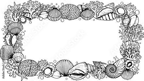 Detailed handdrawn coral and seashell frame ideal for marine life inspired decorative borders, aquatic environment designs