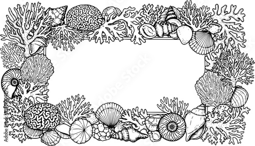 Detailed handdrawn coral and seashell frame ideal for marine life inspired decorative borders, aquatic environment designs
