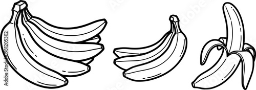 Black and white line drawings depicting a whole bunch of bananas