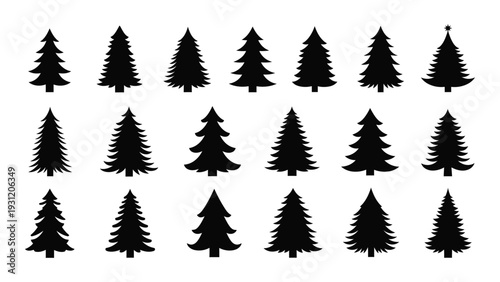 A collection of black pine tree silhouettes on a white background isolated on white background, Vector