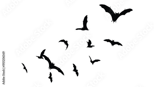 A flock of birds flying in formation against a white background isolated on white background, Vector