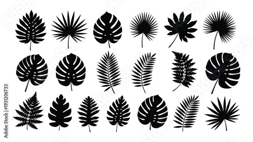 A collection of various leaf silhouettes on a white background isolated on white background, Vector