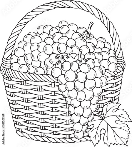 Wicker basket filled with ripe harvest grapes and large vine leaf drawn in clean outline coloring book style for agricultural nature design