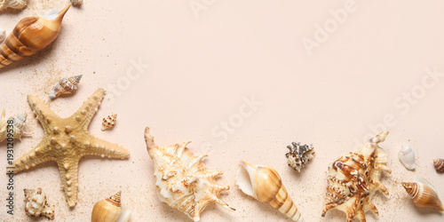 Many different seashells wi...